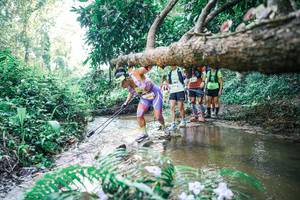 BIB: 
                            <button type="button" onclick="openModal(25464199)" class="btn btn-primary btn-sm float-right btn-popup" data-toggle="modal" data-target=".modal-high-quality">
                        <i class="fas fa-shopping-cart"></i> Add to Cart
                    </button>
                                            <button type="button" onclick="isThisMe(25464199, true)" class="btn btn-success btn-sm float-right btn-popup btn-isme hidden" data-toggle="tooltip" data-placement="bottom" title="นี่คือรูปของคุณใช่ไหม คลิกที่นี่เพื่อเอาเข้าอัลบั้ม">
                        <i class="fas fa-plus"></i> Add to album
                    </button>
                    <button type="button" onclick="isThisMe(25464199, false)" class="btn btn-warning btn-sm float-right btn-popup btn-isnotme hidden">
                        <i class="fas fa-ban"></i> Remove from album
                    </button>